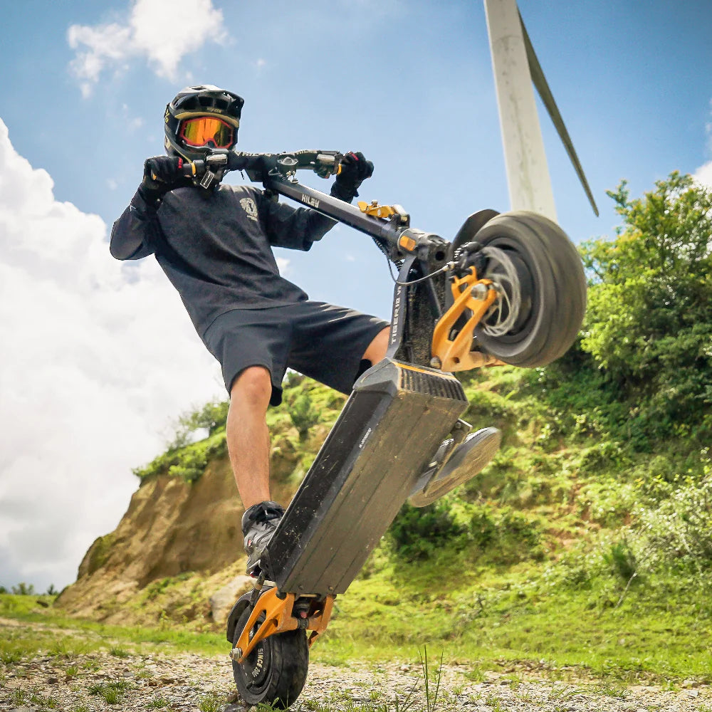 Tiger 10 V5 Electric Scooter